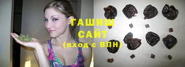 прущие грибы Алзамай