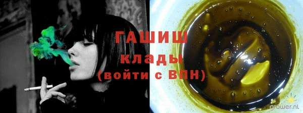 прущие грибы Алзамай