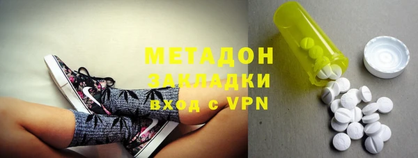 прущие грибы Алзамай