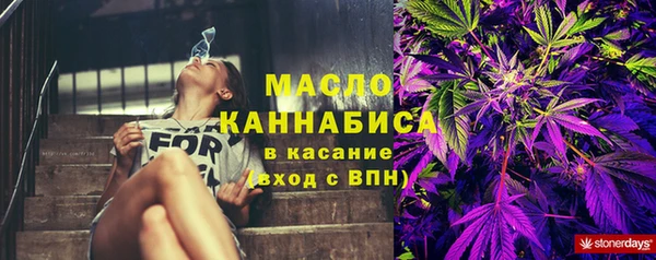 прущие грибы Алзамай