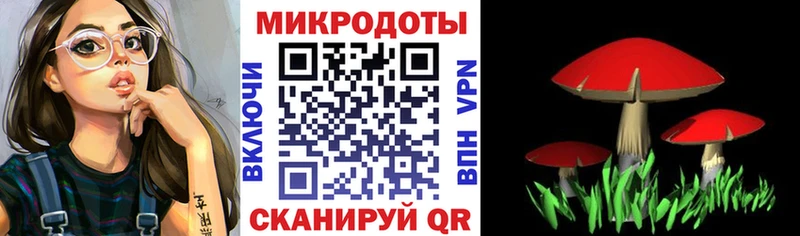 Псилоцибиновые грибы Psilocybine cubensis  как найти   Данков 